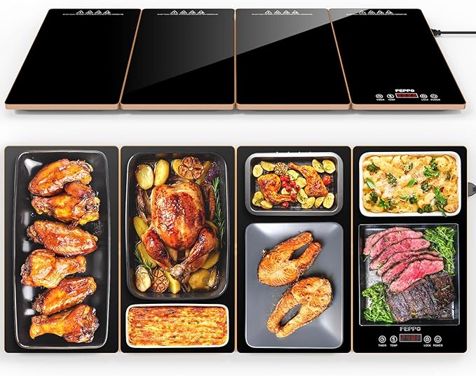 4 In 1 Electric warming Tray